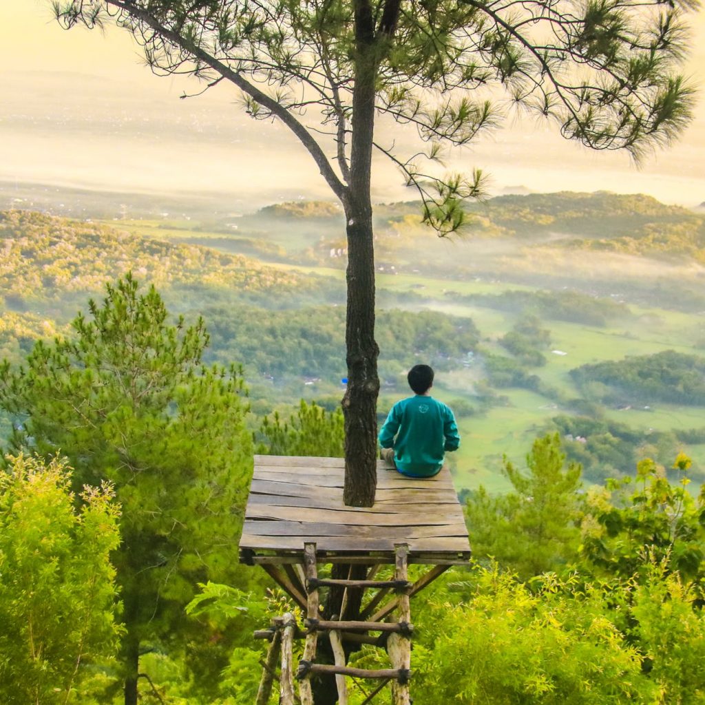 photo of a man sitting under the tree